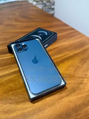 Apple iPhone 12 Pro Max 256GB (Used)