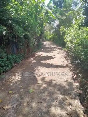 Land for Sale Diyatalawa
