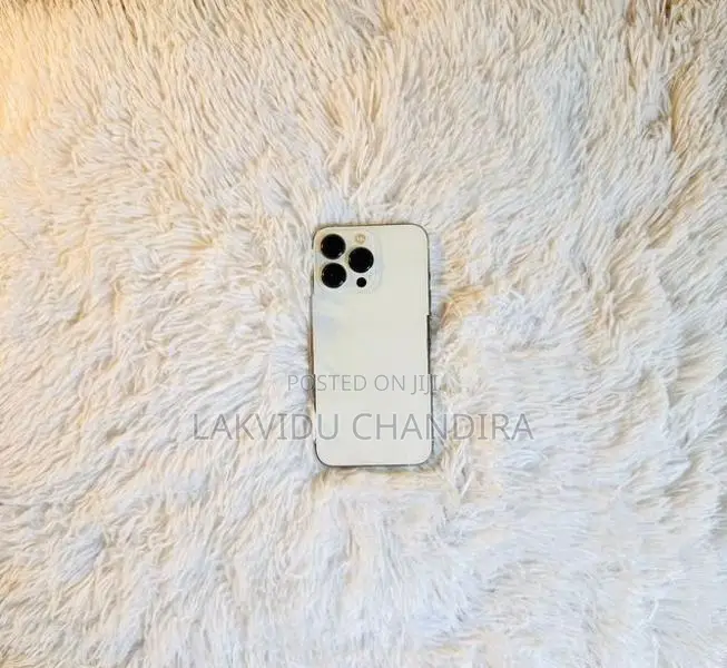 Apple iPhone 13 Pro 256GB (Used)