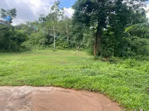 95 Perch Land Horana - Moragahena