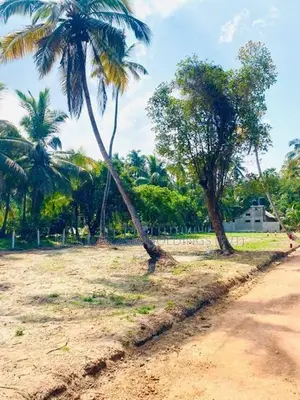 පම්බලට ආසන්නව සින්නක්කර බිම් කොටස්
