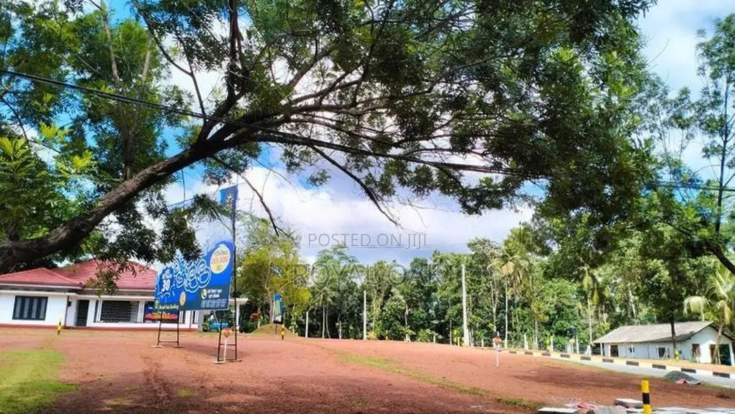 Land for Sale Dagonna