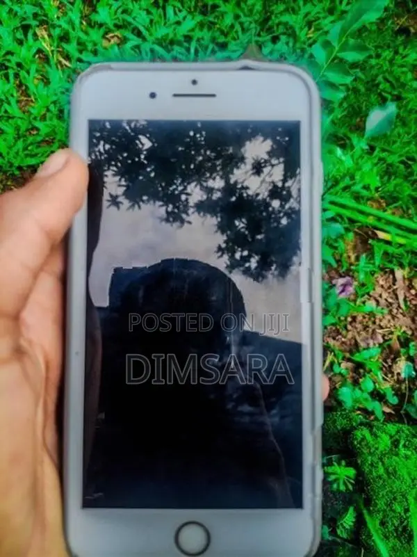 Apple iPhone 7 Plus (Used)