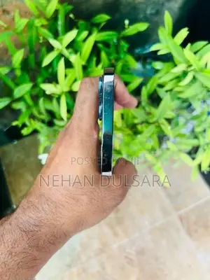 Apple iPhone 12 Pro Max (Used)