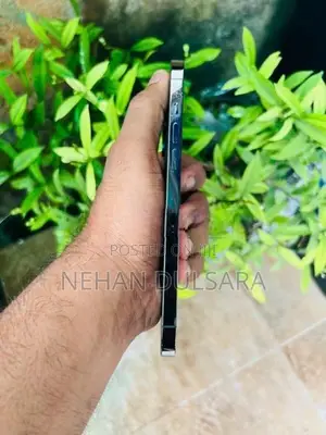 Apple iPhone 12 Pro Max (Used)