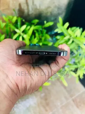 Apple iPhone 12 Pro Max (Used)