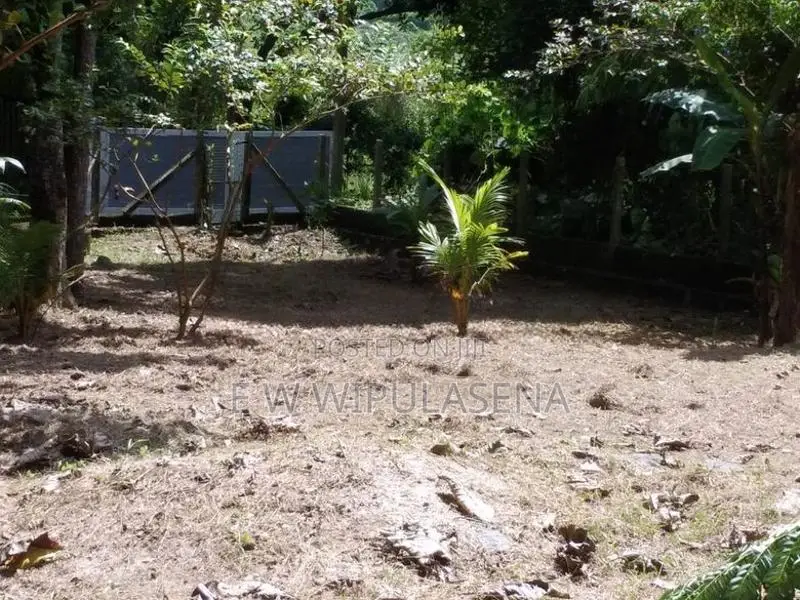 26.5 Perch LAND for SALE in SEEDUWA