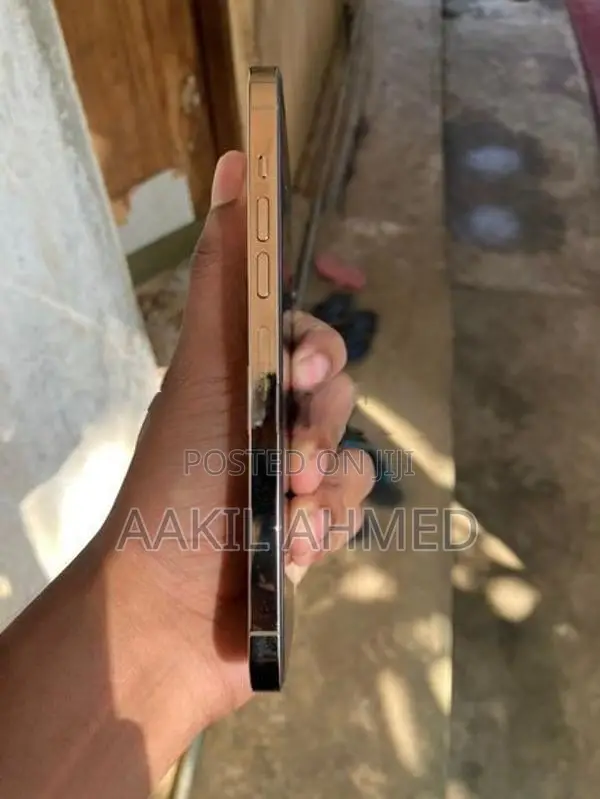 Apple iPhone 13 Pro Max Gold (Used)
