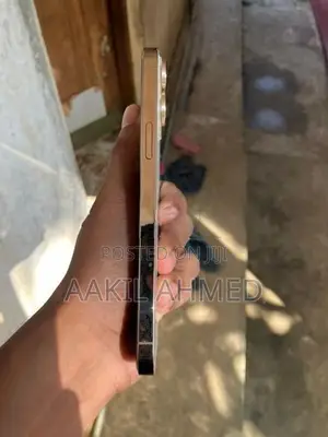 Apple iPhone 13 Pro Max Gold (Used)