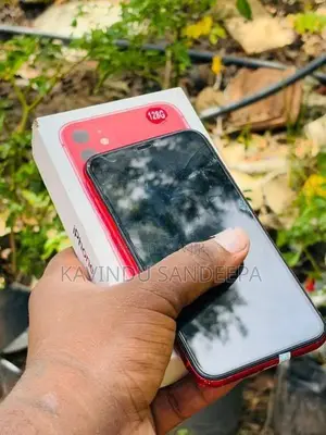 Apple iPhone 11 (Used)