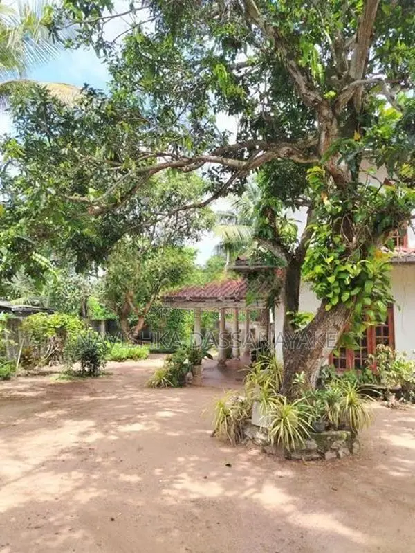 Tourist Villa Holiday For Rent - Katunayake