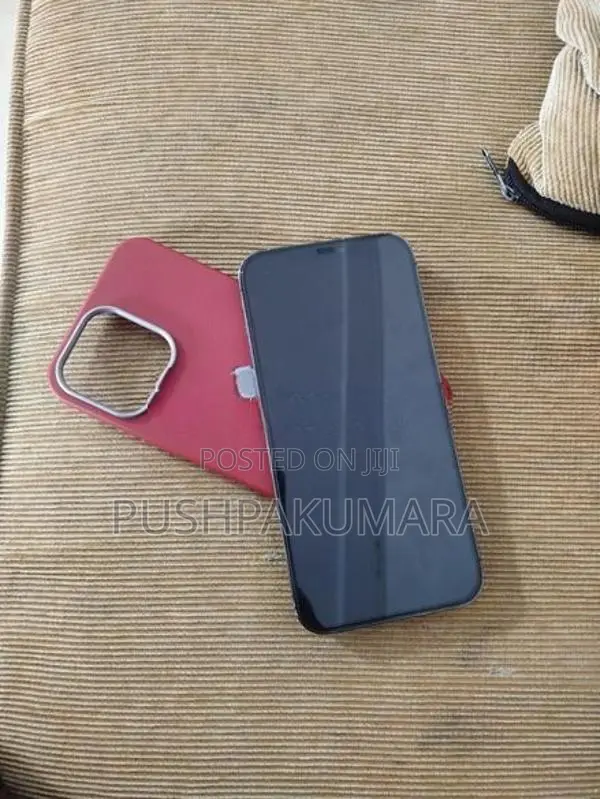 Apple iPhone 12 Pro Max (Used)