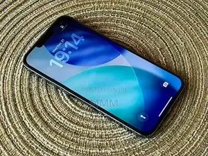 Apple iPhone 13 Pro Max 256GB (Used)