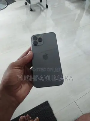 Apple iPhone 12 Pro Max (Used)