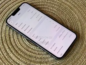 Apple iPhone 13 Pro Max 256GB (Used)