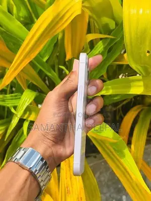 Apple iPhone 13 (Used)