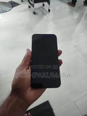 Apple iPhone 12 Pro Max (Used)