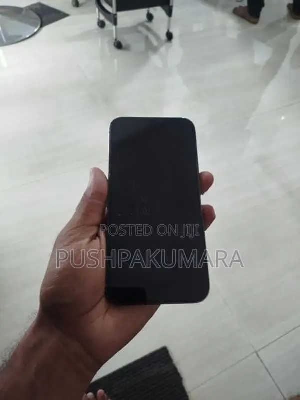Apple iPhone 12 Pro Max (Used)