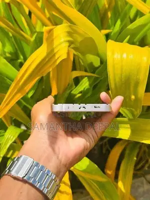 Apple iPhone 13 (Used)