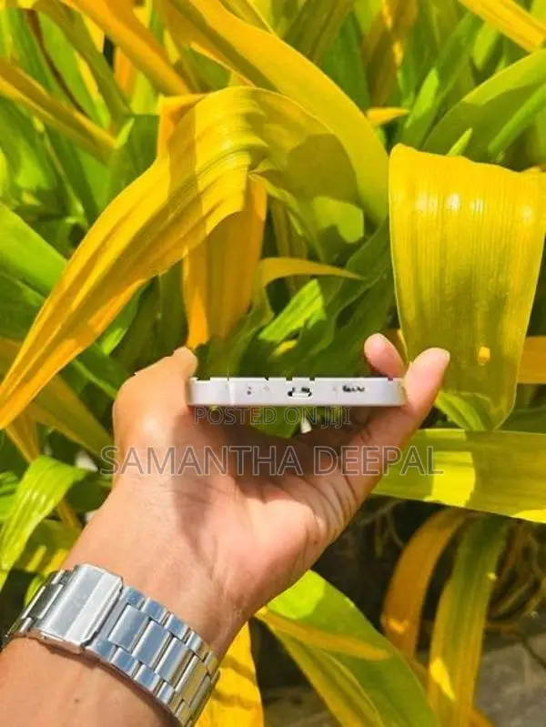Apple iPhone 13 (Used)