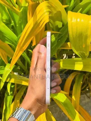 Apple iPhone 13 (Used)