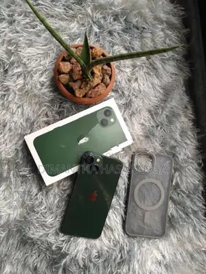 Apple iPhone 13 (Used)