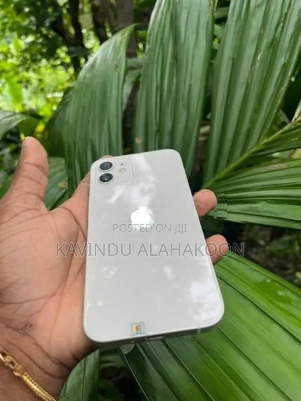 Apple iPhone 12 (Used)