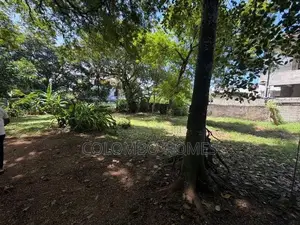 11.25 Perch Prime Residential Land for Sale – Off Hill Street