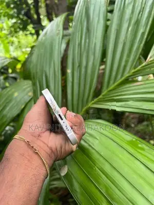 Apple iPhone 12 (Used)