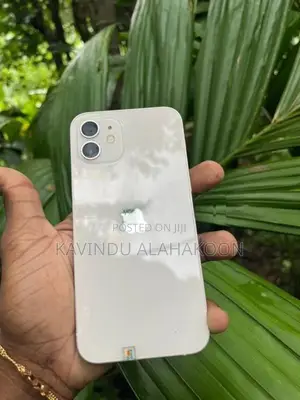 Apple iPhone 12 (Used)