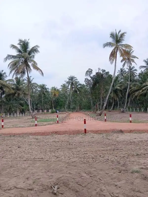 සින්නක්කර ඉඩමක් හලාවත
