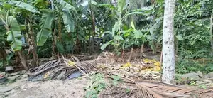 Land for Sale Boralesgamuwa Nilammahara