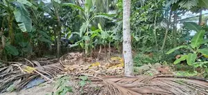 Land for Sale Boralesgamuwa Nilammahara