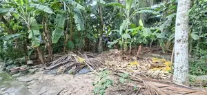 Land for Sale Boralesgamuwa Nilammahara