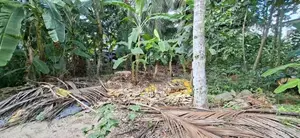 Land for Sale Boralesgamuwa Nilammahara