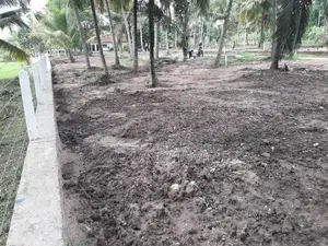 බලල්ල ඉඩමක්