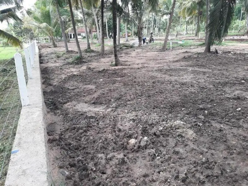බලල්ල ඉඩමක්