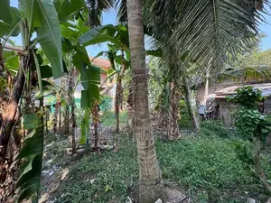Near Colombo Road Land for Sale in Piliyandala Bokundara