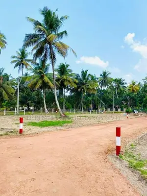 පම්බල අවටින් සින්නක්කර ඉඩමක්