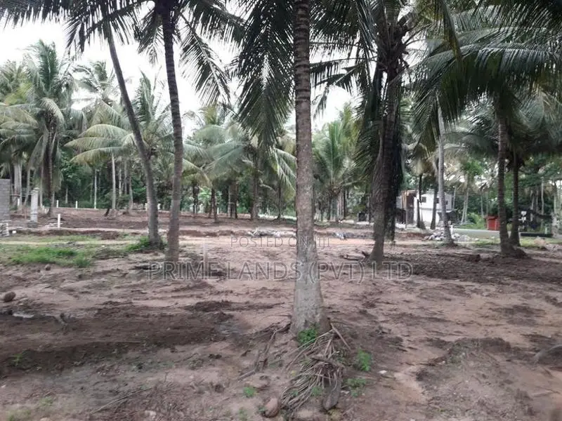 බලල්ල ඉඩමක්