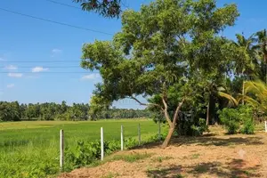 Land for Sale in Veyangoda Town- Highway Access
