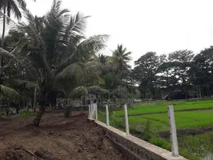 බලල්ල ඉඩමක්