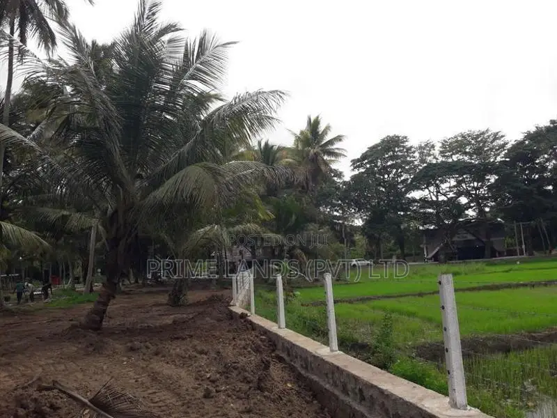 බලල්ල ඉඩමක්