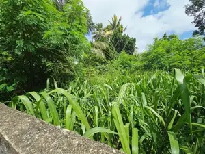 10P Bare Land For Sale In Maharagama