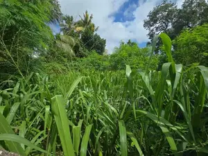 10P Bare Land For Sale In Maharagama