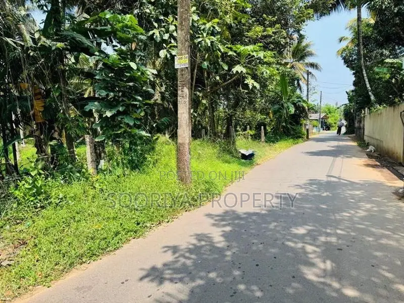 Commercial and Residential Land for Sale - Piliyandala