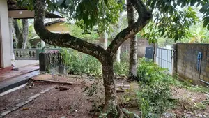 Land for Sale Pasal Mawatha Bokundara Boralesgamuwa