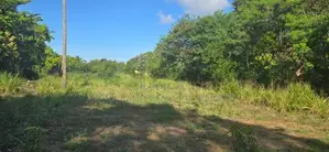 Land For Sale - දඹුල්ලෙන් ඉඩමක් විකිණීමට
