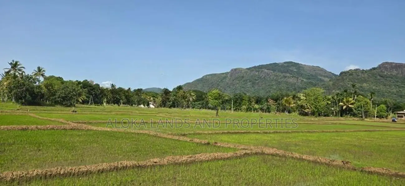 Land For Sale in Dambulla - දඹුල්ලෙන් අක්කර 10 ක අනර්ඝ ඉඩමක් විකිණීමට