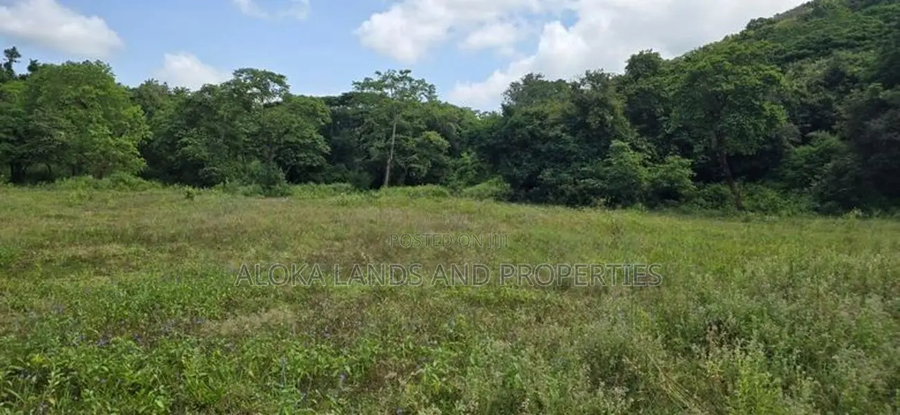 Land for sale in Dambulla - දඹුල්ලේන් අක්කර 7 ක අනර්ඝ ඉඩමක් විකිණීමට